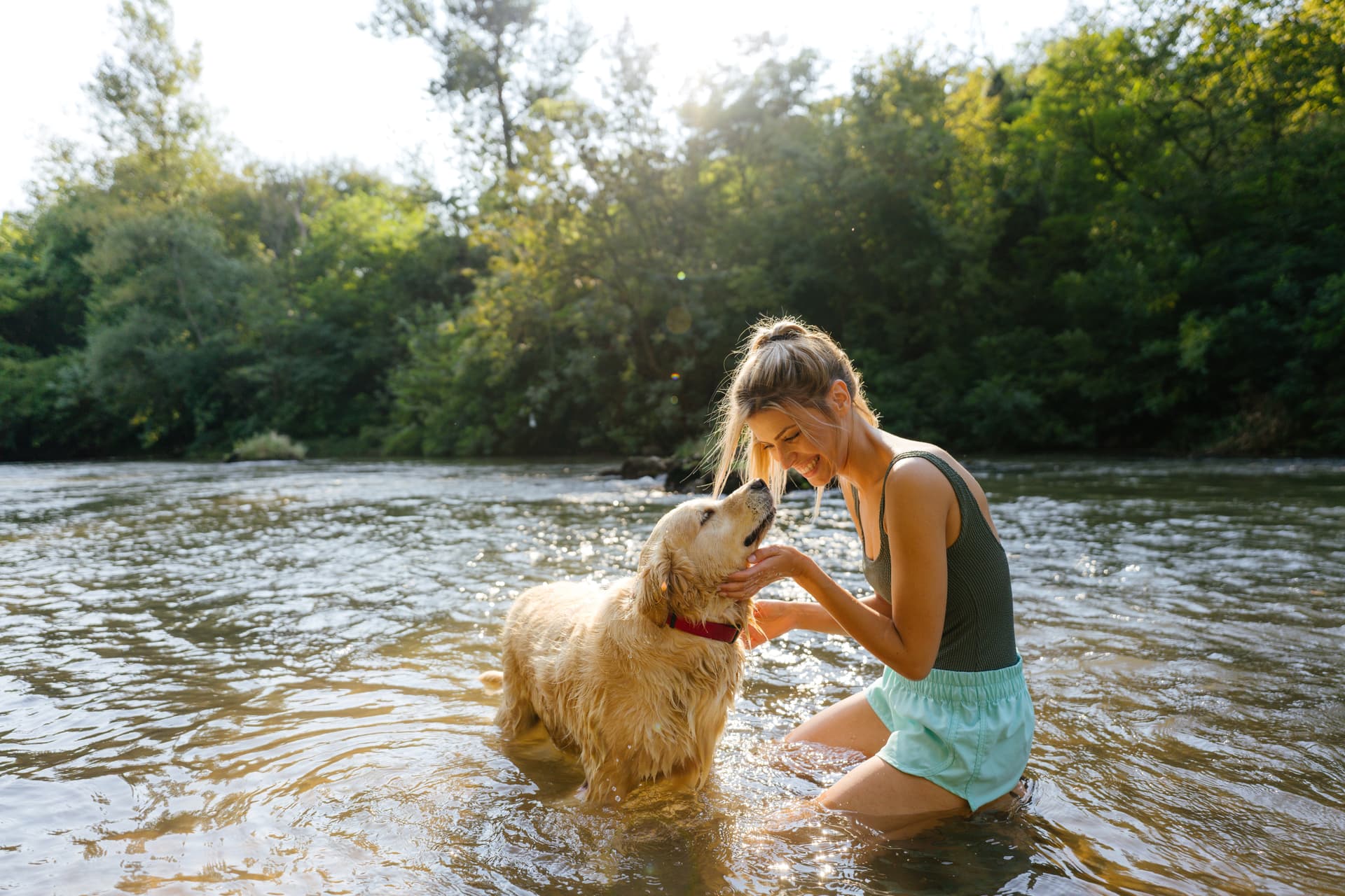 Dog walking on a scenic trail in Rock Creek Park near the Chevy Chase service area